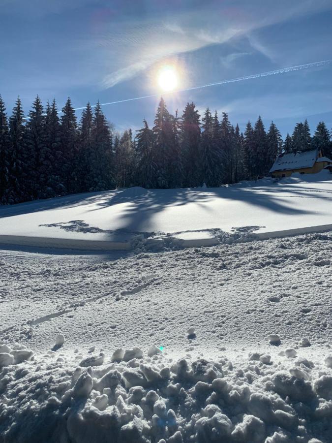 Berghotel Friedrichshoehe Altenberg  Dış mekan fotoğraf