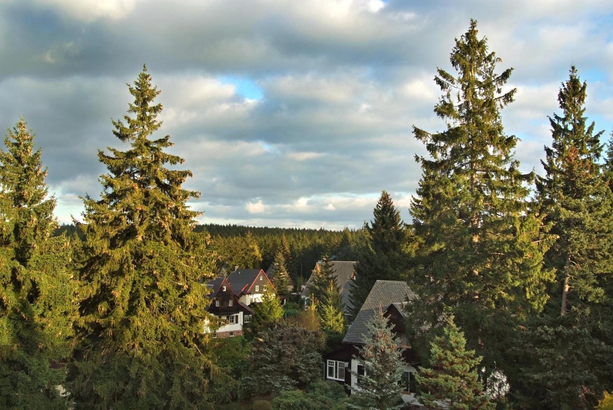 Berghotel Friedrichshoehe Altenberg  Dış mekan fotoğraf